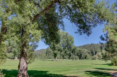 a view of a golf course through trees at Bears Meadow in Arnold