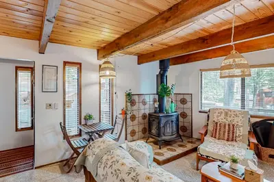 a living room with a couch and a fireplace at Mitthas Tapovan in Arnold