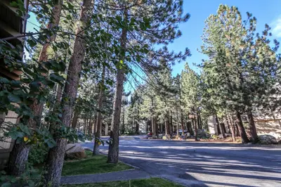 a street with trees on the side of a road at Horizons Condo 4 #168 in Mammoth Lakes