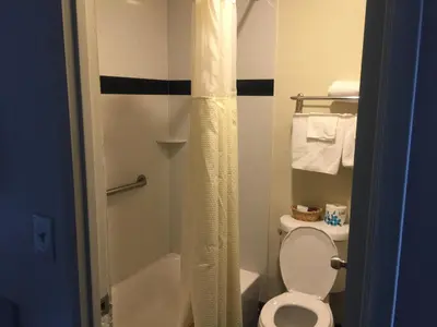 a bathroom with a toilet and a shower curtain at Portal Motel in Lone Pine