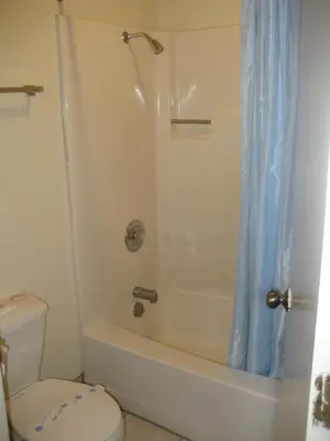 a bathroom with a toilet and a shower with a shower curtain at Jamestown Railtown Motel in Jamestown