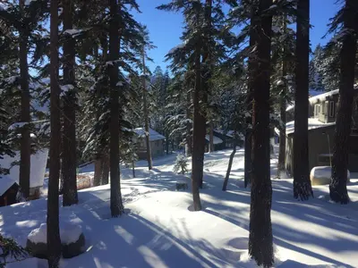 a house in the woods in the snow at Mountainback 116 LoftCorner in Mammoth Lakes