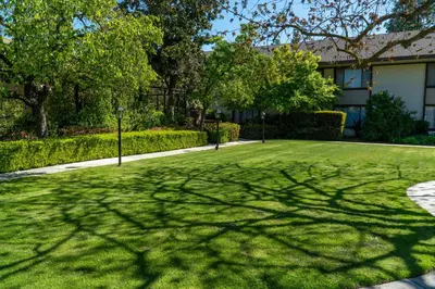a shadow of a tree on a lawn at Hotel Piccadilly in Fresno