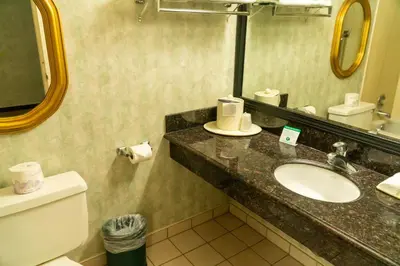 a bathroom with a sink and a toilet and a mirror at Hotel Piccadilly in Fresno