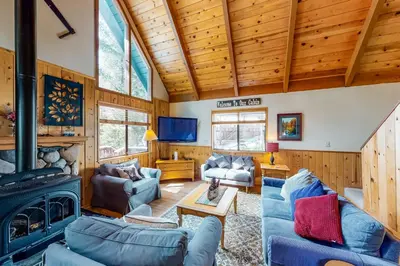 a living room with a couch and a fireplace at Pine Paradise in Camp Connell
