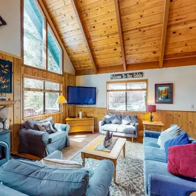 Pine Paradise