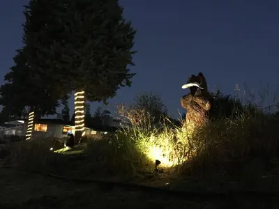 a large bird sitting in the tall grass at night at Oakhurst Lodge in Oakhurst