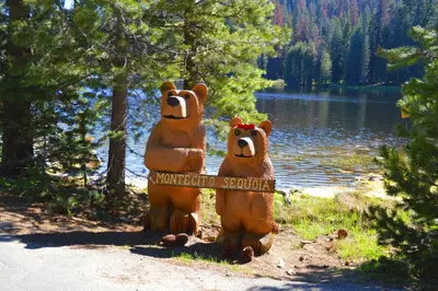 two bear statues are standing next to a lake at Montecito Sequoia Lodge in Sequoia National Park