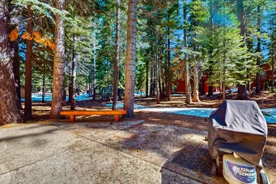 a picnic table and a bench in a forest at Happy Family Cozy Cabin in Truckee