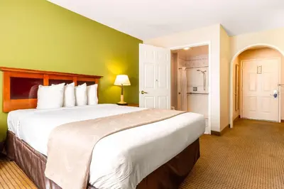 a large bed in a room with a green wall at Auburn House Hotel in Auburn