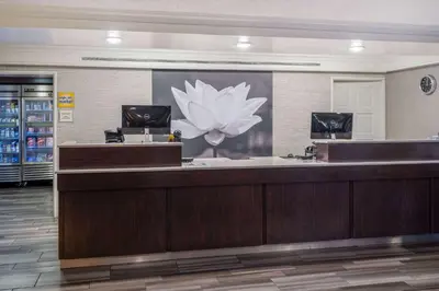 a lobby of a store with a large flower on the wall at La Quinta Inn by Wyndham Sacramento North in Sacramento
