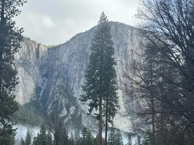 a large mountain with a tree in front of it at Becky's Condo in Mariposa