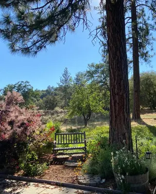 a park bench sitting next to a tree at Kin House Guest Suite in Oakhurst