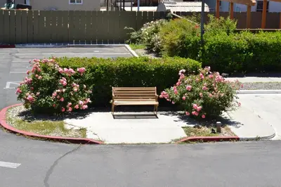 a wooden bench sitting in a parking lot with pink flowers at Vagabond Inn Bishop in Bishop