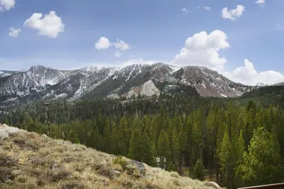 a view of a mountain with trees and snow at Aspen Creek by 101 Great Escapes in Mammoth Lakes