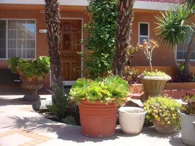 a bunch of potted plants in front of a building at Economy Inn Los Banos in Los Banos