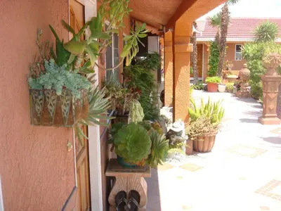 a bunch of potted plants on the side of a building at Economy Inn Los Banos in Los Banos