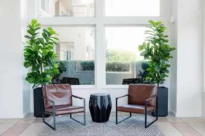 two chairs and a table in a room with plants at Quality Inn & Suites Lathrop in Lathrop