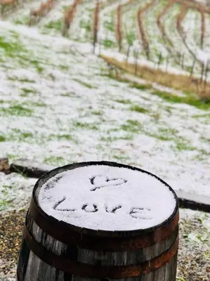 a wooden barrel with snow on top of it at Papillon Cellars - The Loft in Mariposa