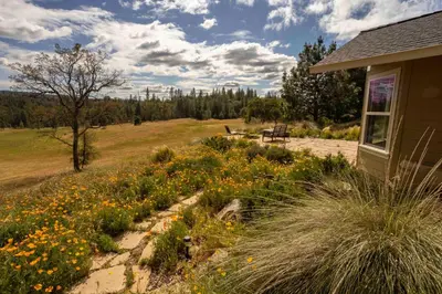 a field of flowers in front of a house at Red Tail Ranch in Groveland