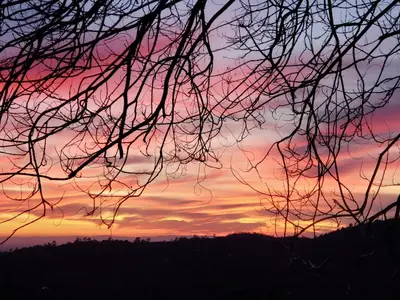a sunset is seen through the branches of a tree at Yosemite Foothill Retreat - Private Guest Suite #3 in Coarsegold