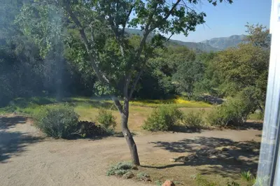 a tree in the middle of a field at The Quail's Nest in Three Rivers