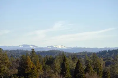 a view of a forest with snow capped mountains at Hotel Vista Sierra in Auburn