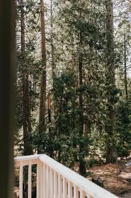 a white rail next to a forest with trees at The Long Barn Lodge in Long Barn