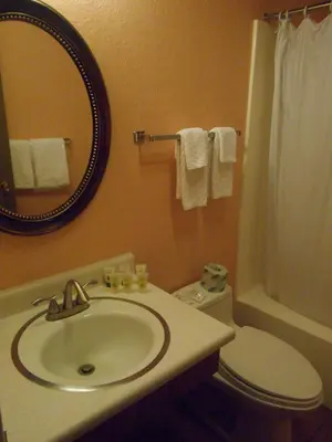 a bathroom with a sink and a toilet and a mirror at Victorian Inn in Reno