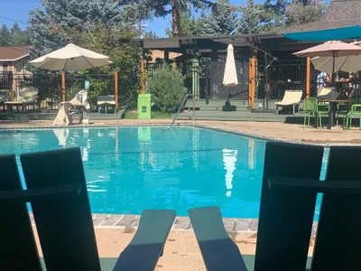 a swimming pool with a dog in the middle at Station House Inn South Lake Tahoe in South Lake Tahoe