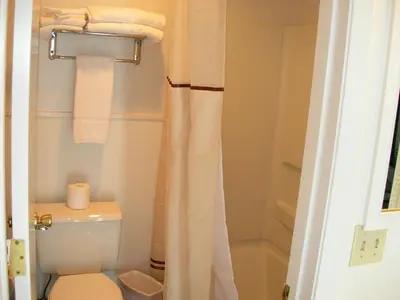a bathroom with a toilet and a shower curtain at Walker River Lodge in Bridgeport
