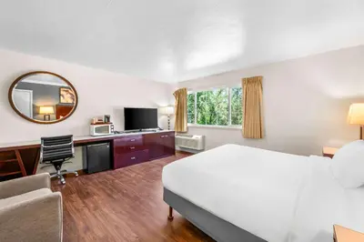 a hotel room with a bed and a mirror at Quality Inn & Suites Jackson in Jackson