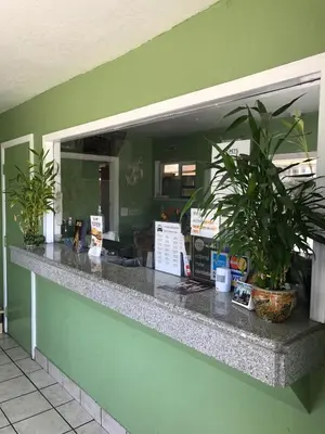 a counter with potted plants on a green wall at Economy Inn in Modesto