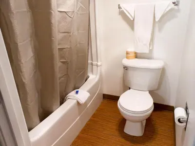 a bathroom with a toilet and a shower at Motel 6-Fallon, NV in Fallon