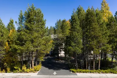 a road in the middle of a forest of trees at Inn At Truckee in Truckee