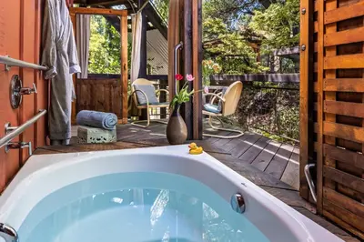 a jacuzzi tub in a house with a patio at Eden Vale Inn in Placerville