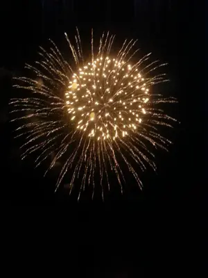 a firework display in the sky at night at Atomic Inn Beatty Near Death Valley in Beatty
