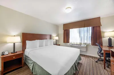 a hotel room with a large bed and a window at Best Western Capital City Inn in Sacramento