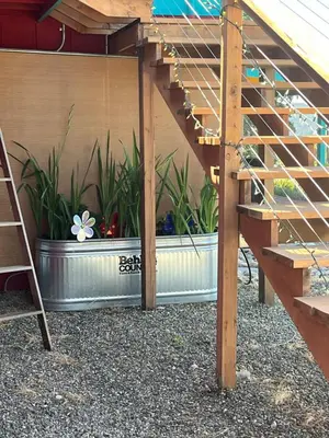 a patio with some plants in a pot at McMillan Ranch Yosemite in Coarsegold