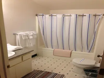 a bathroom with a shower curtain and a toilet at StrawberryInn River Front Resort in Strawberry