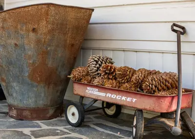 a wheelbarrow filled with pineapples next to a metal bin at Inn at Sugar Pine Ranch in Groveland