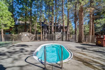 a small swimming pool in a yard with trees at Summit by 101 Great Escapes in Mammoth Lakes