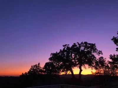a sunset with a tree in the foreground at Moon Ranch - a gateway to Yosemite in Mariposa