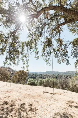 a swing hanging from a tree in a field at Moon Ranch - a gateway to Yosemite in Mariposa