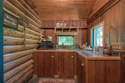 a kitchen with wooden walls and a counter in a cabin at The Davies Family Inn in Placerville