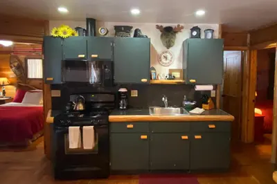a kitchen with a stove and a sink in a room at Tahoma Meadows - Sugar Pine Cabin in Tahoma