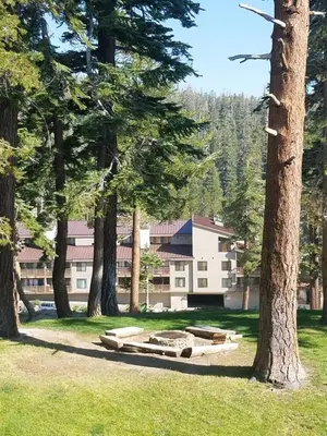 a park with trees and a building in the background at 1849 #308 in Mammoth Lakes