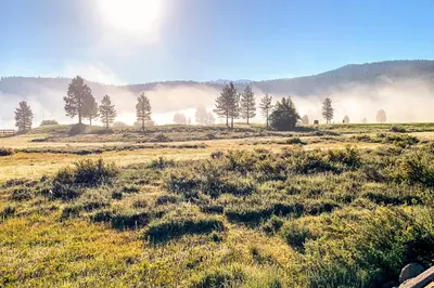a field of grass with trees in the background at Sophisticated Northstar Mountain Retreat in Truckee