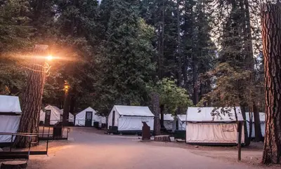 a group of tents in a forest with a street light at Curry Village in Curry Village