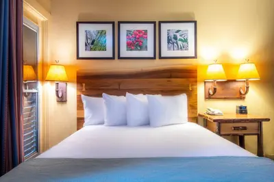 a hotel room with a bed and a window at Yosemite Valley Lodge in Yosemite Village